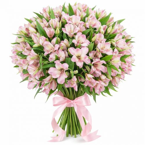 Альстромерия розовая