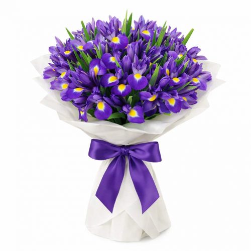 Монобукет «Фиолетовая мечта»