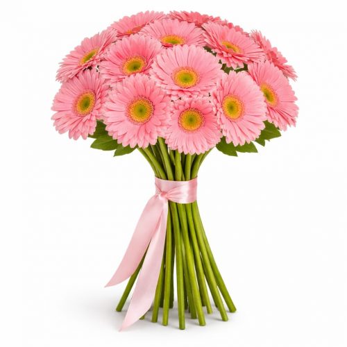 Гербера розовая