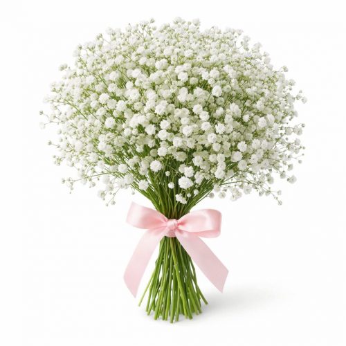 Гипсофила белая