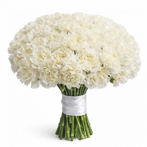 Гвоздика белая