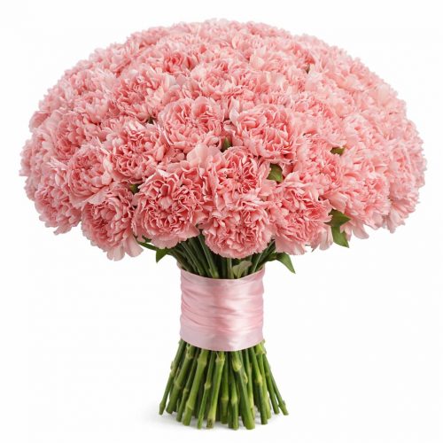 Гвоздика розовая