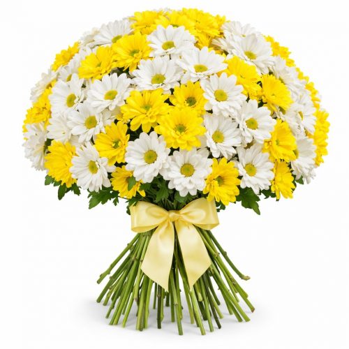 Хризантема кустовая микс 5