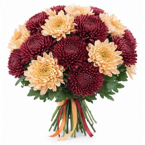 Хризантема одноголовая микс 2