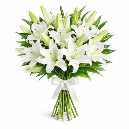 Лилия белая