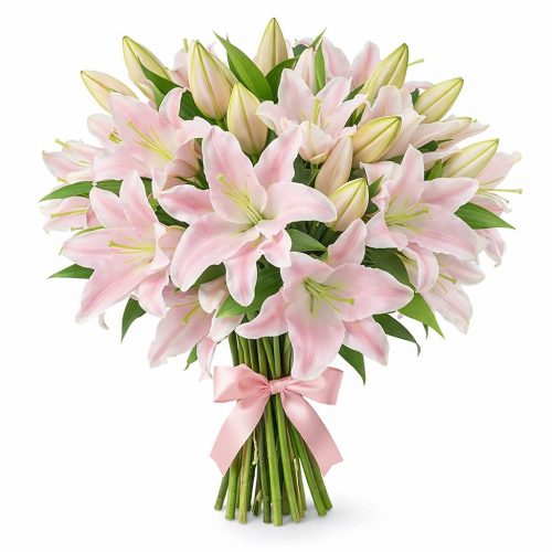 Лилия светло розовая