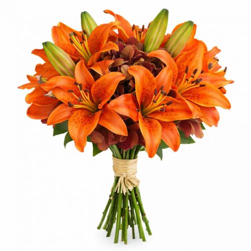 Лилия тигровая