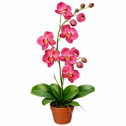 Орхидея в горшке «Розовая»