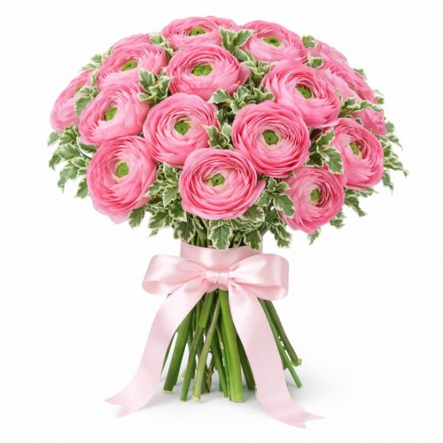 Ранункулюс розовый