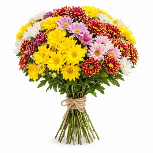 Ромашка микс 2