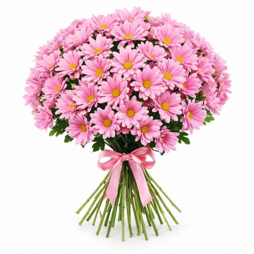 Ромашка розовая