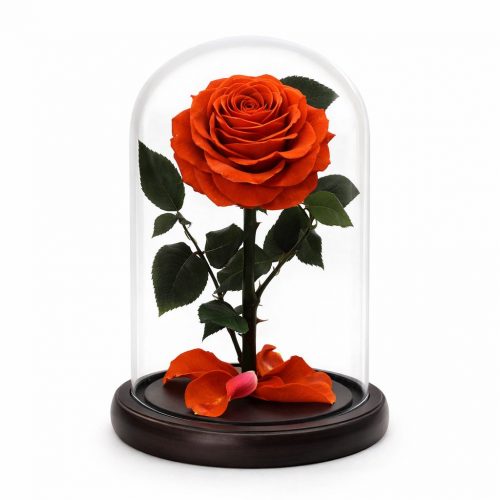 Роза в колбе морковная