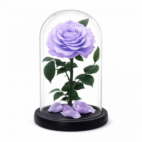 Роза в колбе сиреневая