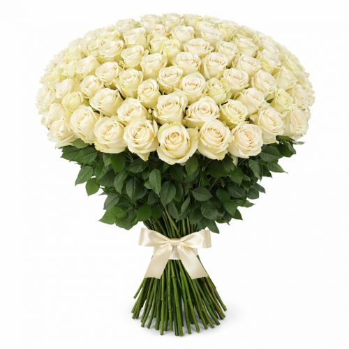 Розы Эквадор белые