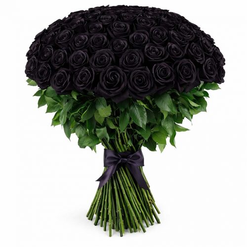 Розы Эквадор черные