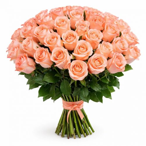 Розы Эквадор персиковые