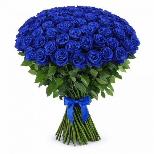 Розы Эквадор синие