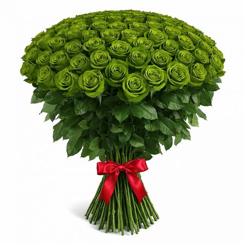 Розы Эквадор зеленые