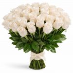 Розы Голландия