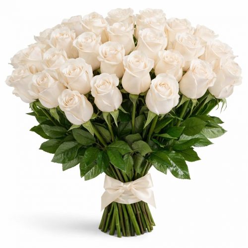 Розы Голландия белые