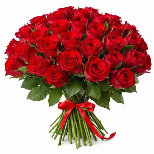 Розы Кения красные