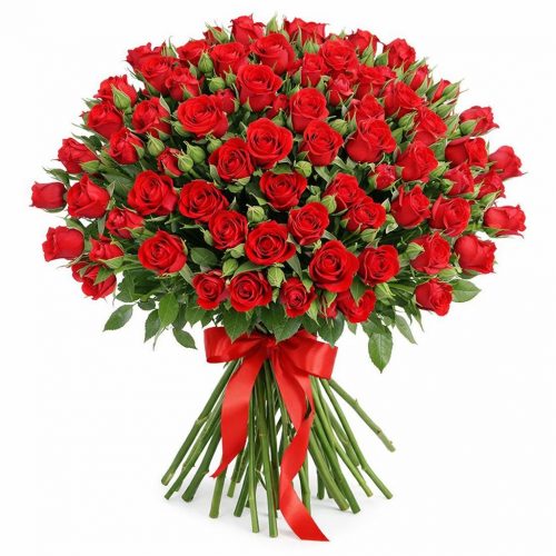 Розы Кустовые красные