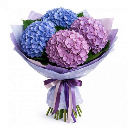 Монобукет «Фиолетовая гортензия»